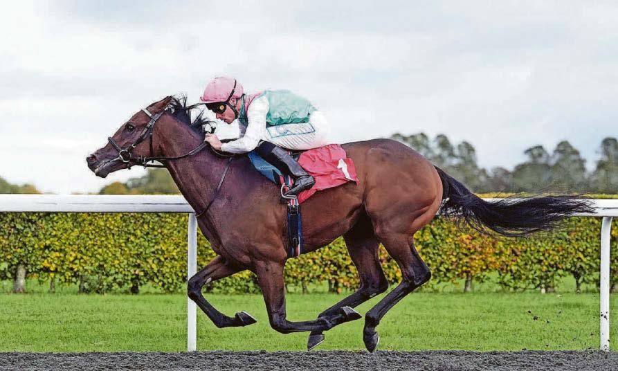 Detain set to bloom in the Rose Of Lancaster Stakes