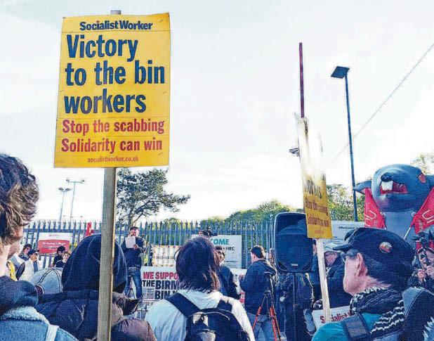 Woman forced to hire skip after bin collections failure