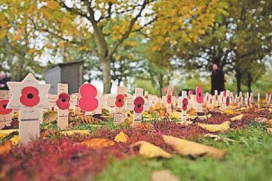 Princess to visit the Midlands for Armistice event