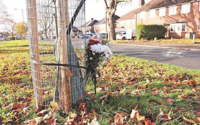 Officers hunt for hit-and-run driver