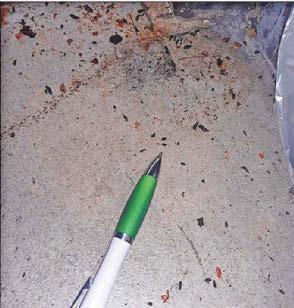 Caterer fined after mouse droppings found on premises