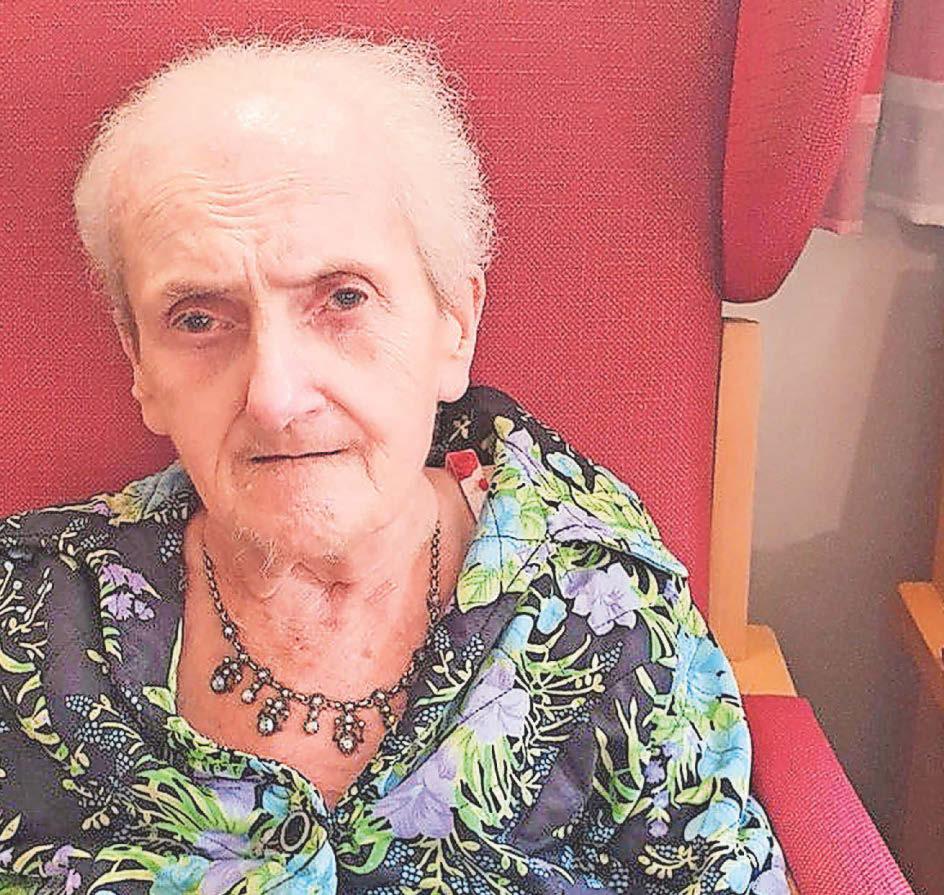 Care home boss is jailed over £175,000 will plot