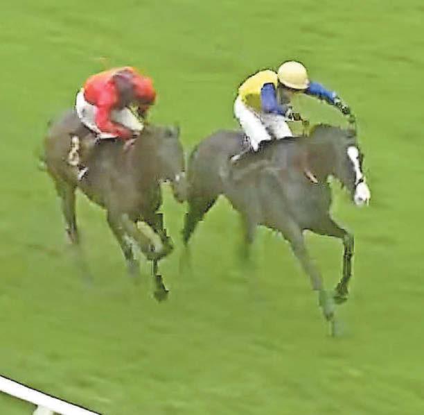 History made as 300-1 winner shocks punters