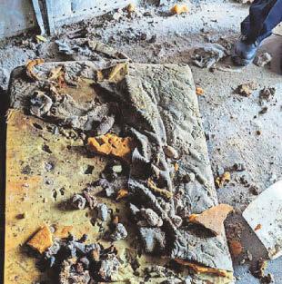 Horrific living conditions of dogs rescued by the RSPCA