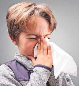Hay fever 'may affect school exam results'