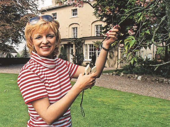 Darling buds of May