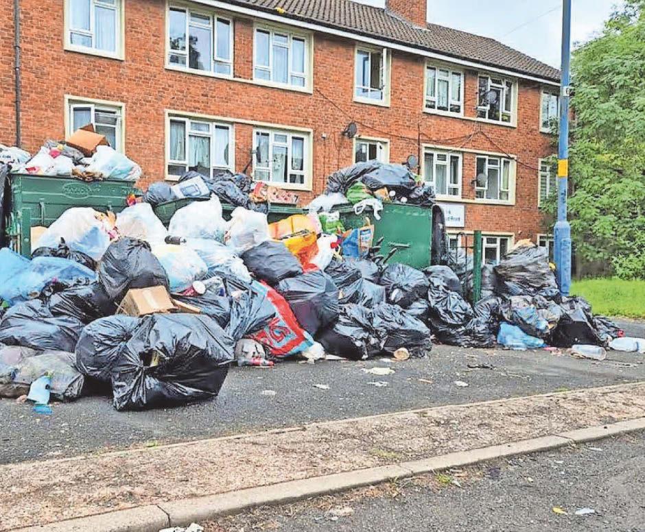 City axes pest control amid bins strike chaos