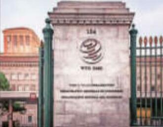Tariff uncertainty to weigh on global trade: WTO