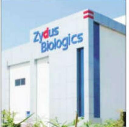 Zydus to drive global medtech strategy