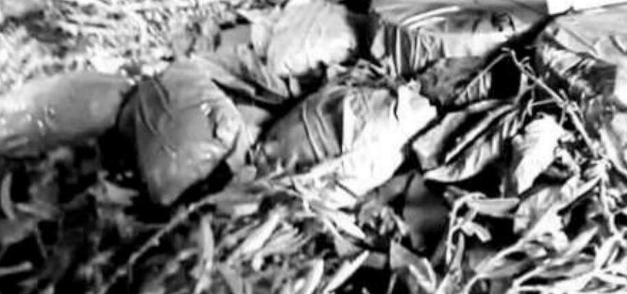 पुंछ में विस्फोटक बरामद, आतंकी साजिश नाकाम