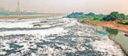 यमुना सफाई के लिए रणनीति पर पुनर्विचार करने की जरूरत