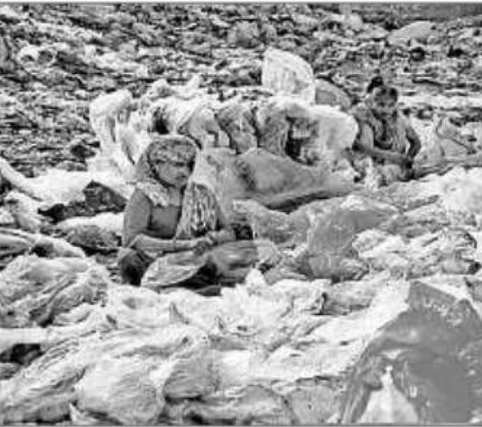प्लास्टिक प्रदूषण से जूझती महिलाएं