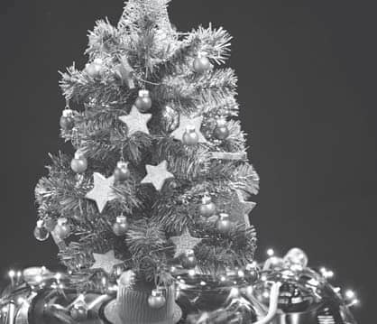 XMAS ROUNDUP