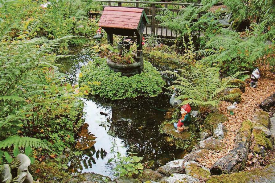 Pixieland visitor attraction on Dartmoor for sale