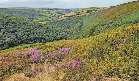 Exploring land which inspired evocative tale of romance