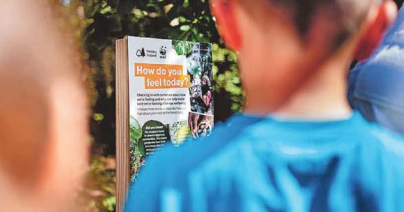 Trails will help develop a love and appreciation for forests
