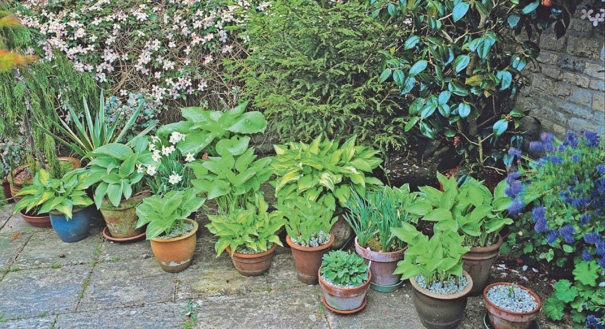 Expert advice How to be water-efficient