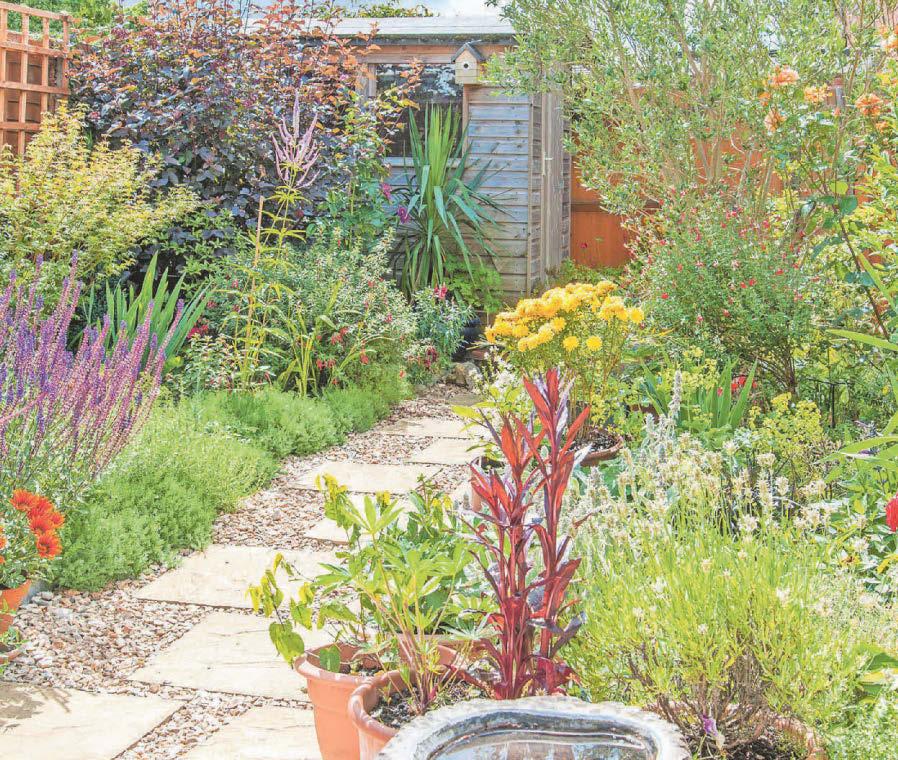 Expert advice How to garden if you rent