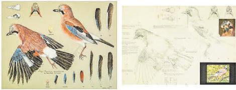 Works to raise money for trust artist founded