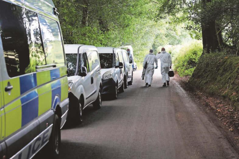 Murder trial shown video of woodland area