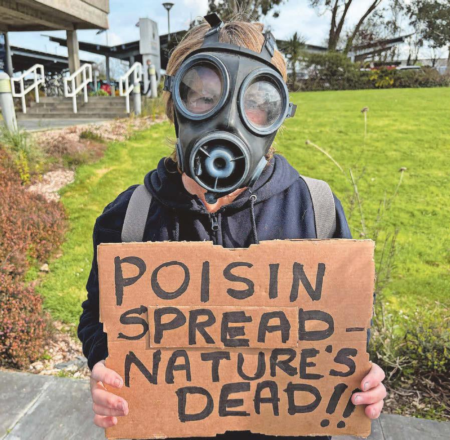 Spraying affects a lot more than the plot...