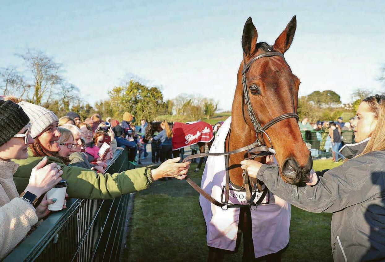 Golden boy home again..