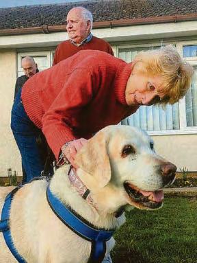 Snatched dog reunion with Hollywood appeal