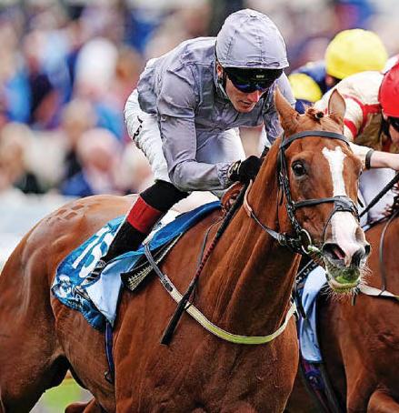 THUNDER READY TO STRIKE