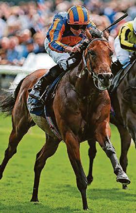 LION IN RACE AGAINST TIME