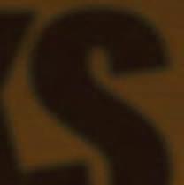 BYD BARKS AND RIDES..