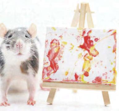 Little Paw-cassos show off their artwork