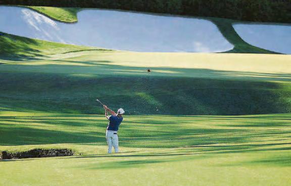 RORY'S HOLEY GRAIL