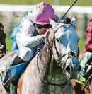 GOSDEN'S FIELD OF DREAMS