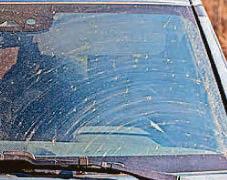 Count insect windscreen splats for eco survey