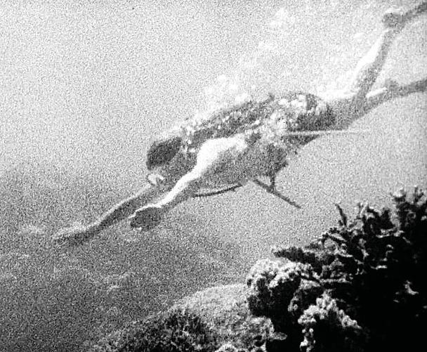 NET CLOSING IN ON SEA LIFE
