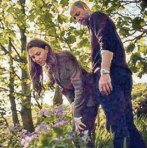 Nature is my Kate escape