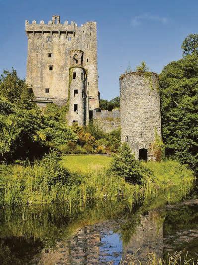 BLARNEY PHONE