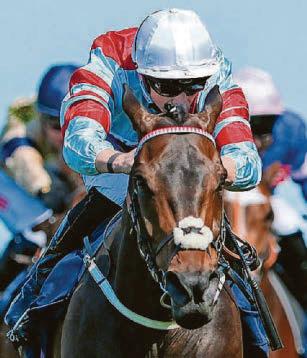 WILLIAMS' STAR TO BREEZE HOME