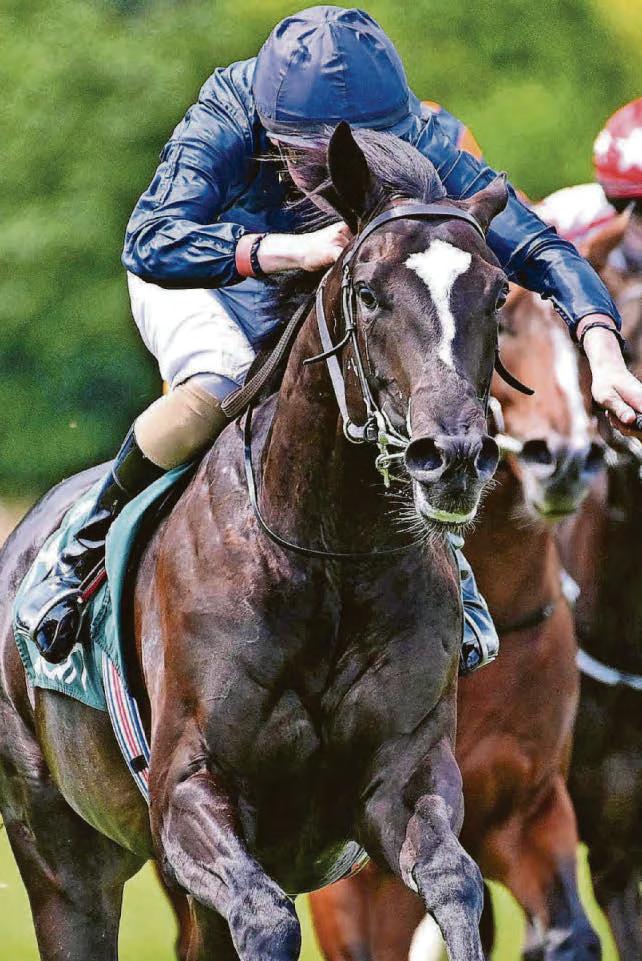WARSAW IMPACT LOOKS SAFE BET