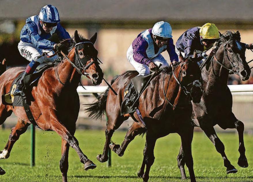 BE CONFIDENT TO ENF DEGREE