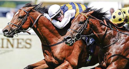 Docklands produces the goods in thrilling finish