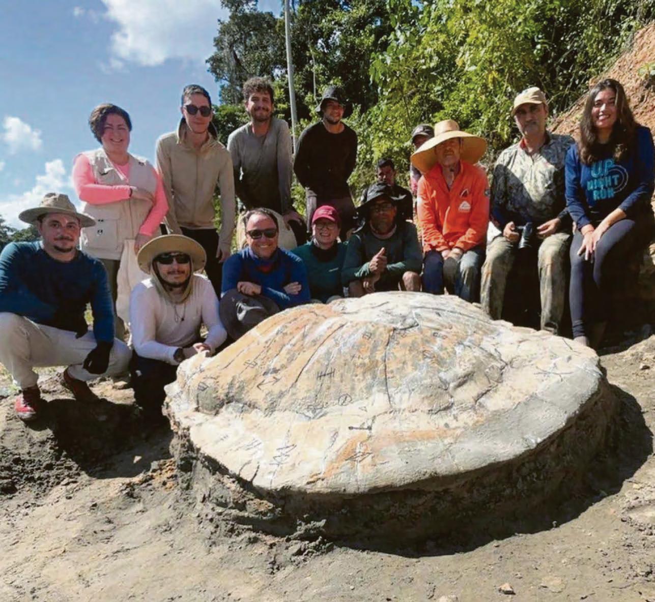 Massive fossil find is turtle-y awesome