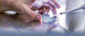 Human DNA made in lab