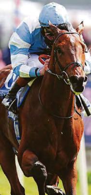 Pride in Curragh classic