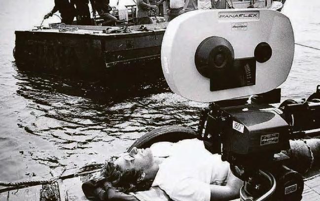 Jaws... what a nightmare