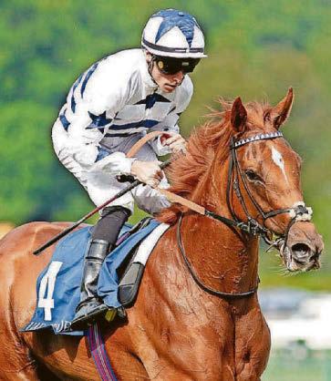 PERFECT'S NEW SETBACK