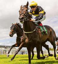 Naas win is a Bonus