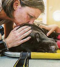 SURVEY SHOWS REAL IMPACT OF PET LOSS