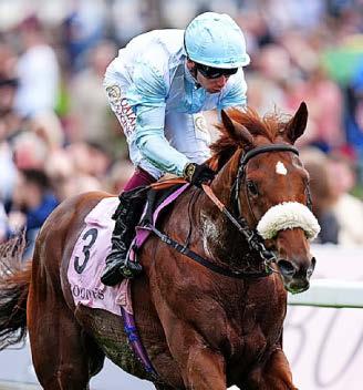 BOTTI UP FOR LOTTO BID