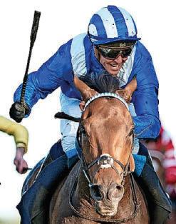Anmaat may not race again
